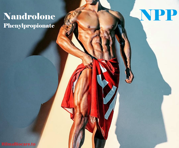 Nandrolone-Phenylpropionate-NPP-hilmabiocare