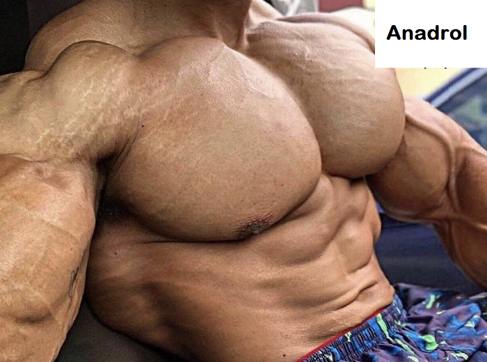 Anadrol-Cycle-huge-chest